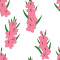 Seamless pattern gladiolus flowers spring botanical illustration Royalty Free Stock Photo